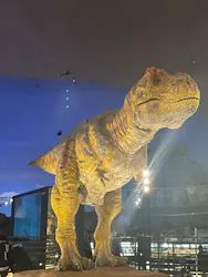 福井県立恐竜博物館に投稿された画像（2026/5/5）