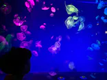 名古屋港水族館に投稿された画像（2026/5/5）