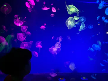 名古屋港水族館に投稿された画像（2026/5/5）
