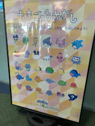新江ノ島水族館に投稿された画像（2026/5/5）