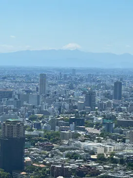 東京タワーに投稿された画像（2026/5/5）