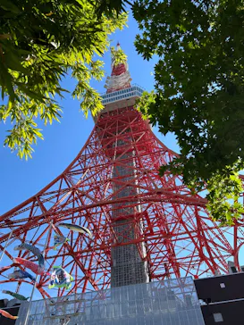 東京タワーに投稿された画像（2026/5/5）