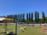 滋賀農業公園ブルーメの丘に投稿された画像（2026/5/5）