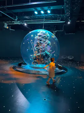 AQUARIUM × ART　atoaに投稿された画像（2026/5/5）