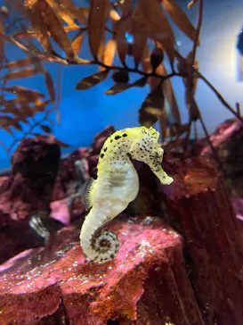 AQUARIUM × ART　atoaに投稿された画像（2026/5/5）