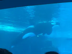 名古屋港水族館に投稿された画像（2026/5/5）