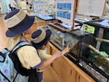 万博記念公園に投稿された画像（2026/5/5）