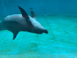 沖縄美ら海水族館に投稿された画像（2026/5/5）