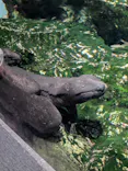 京都水族館に投稿された画像（2026/5/5）