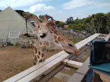 伊豆シャボテン動物公園に投稿された画像（2026/5/5）
