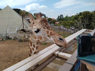 伊豆シャボテン動物公園に投稿された画像（2026/5/5）