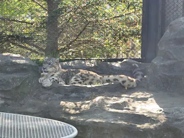 秋田市大森山動物園に投稿された画像（2026/5/5）