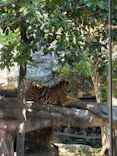 恩賜上野動物園に投稿された画像（2026/5/5）