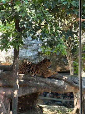 恩賜上野動物園に投稿された画像（2026/5/5）