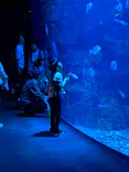 京都鉄道博物館×京都水族館に投稿された画像（2026/5/5）