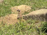 千葉市動物公園に投稿された画像（2026/5/5）