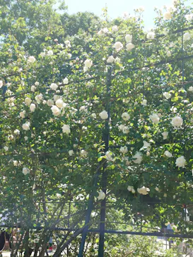 名古屋市東山動植物園に投稿された画像（2026/5/5）