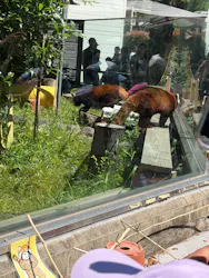 天王寺動物園に投稿された画像（2026/5/5）