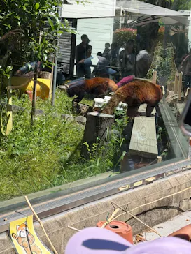 天王寺動物園に投稿された画像（2026/5/5）