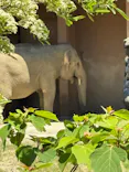 名古屋市東山動植物園に投稿された画像（2026/5/5）