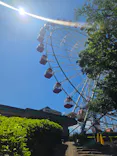 日本モンキーパークに投稿された画像（2026/5/5）