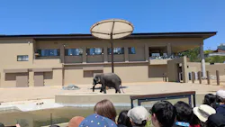 天王寺動物園に投稿された画像（2026/5/5）