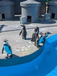 南知多ビーチランド＆南知多おもちゃ王国に投稿された画像（2026/5/5）