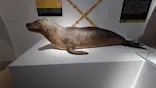 特別展「超危険生物展　科学で挑む生き物の本気」に投稿された画像（2026/5/5）