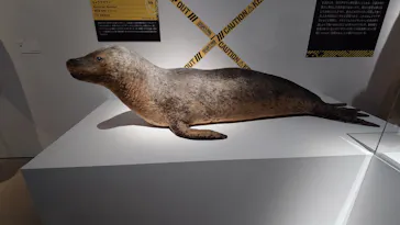 特別展「超危険生物展　科学で挑む生き物の本気」に投稿された画像（2026/5/5）