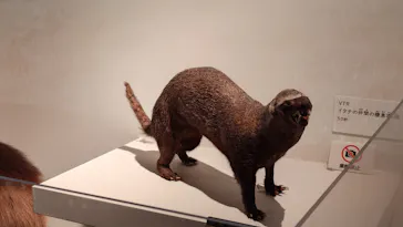 特別展「超危険生物展　科学で挑む生き物の本気」に投稿された画像（2026/5/5）