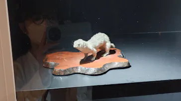 特別展「超危険生物展　科学で挑む生き物の本気」に投稿された画像（2026/5/5）