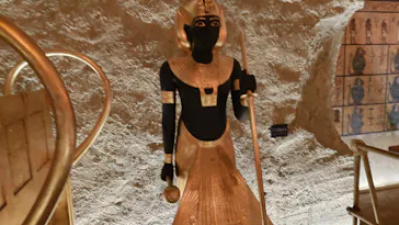 MYSTERY OF TUTANKHAMEN 体感型古代エジプト展に投稿された画像（2026/5/5）