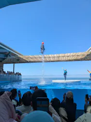 上越市立水族博物館 うみがたりに投稿された画像（2026/5/5）