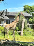 天王寺動物園に投稿された画像（2026/5/5）