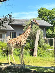 天王寺動物園に投稿された画像（2026/5/5）