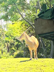 天王寺動物園に投稿された画像（2026/5/5）