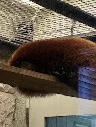 天王寺動物園に投稿された画像（2026/5/5）