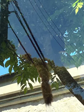 天王寺動物園に投稿された画像（2026/5/5）