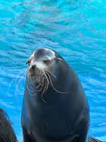 仙台うみの杜水族館に投稿された画像（2026/5/5）