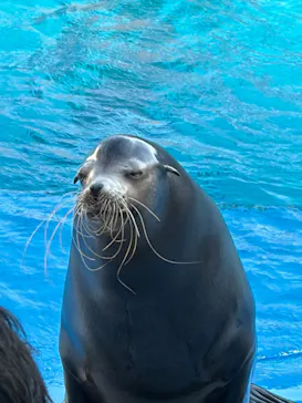 仙台うみの杜水族館に投稿された画像（2026/5/5）