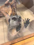 Moff animal world BIGHOPガーデンモール印西店に投稿された画像（2026/5/5）