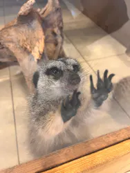 Moff animal world BIGHOPガーデンモール印西店に投稿された画像（2026/5/5）