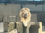 宇都宮動物園に投稿された画像（2026/5/5）