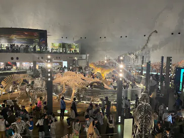 福井県立恐竜博物館に投稿された画像（2026/5/5）
