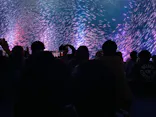 名古屋港水族館に投稿された画像（2026/5/5）
