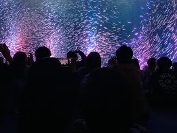 名古屋港水族館に投稿された画像（2026/5/5）