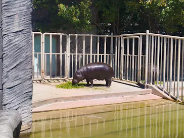名古屋市東山動植物園に投稿された画像（2026/5/5）