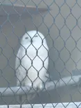 天王寺動物園に投稿された画像（2026/5/5）