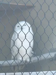 天王寺動物園に投稿された画像（2026/5/5）