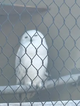 天王寺動物園に投稿された画像（2026/5/5）